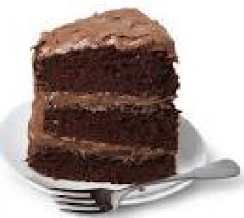 Fudge Chocolate Cake 1x16Ptn