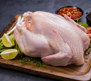 Fresh Halal Whole Chicken 10×1.3Kg