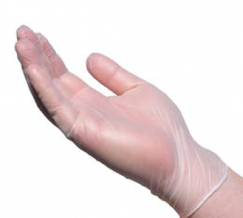 Clear Gloves Vinyl Disposable Powder Free Large