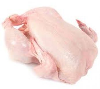 IQF Halal Raw Whole Griller Chicken