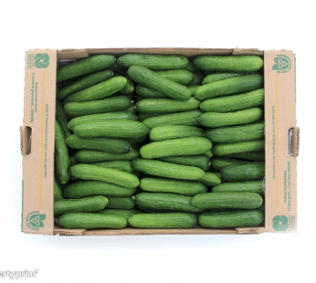 Cucumbers Class I 1×12-14